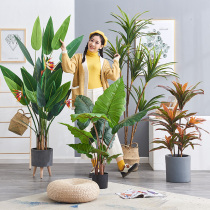 Nordic large simulation green plant auspicious bird fake traveler banana plant fake flower dragon blood tree indoor floor potted plant decoration