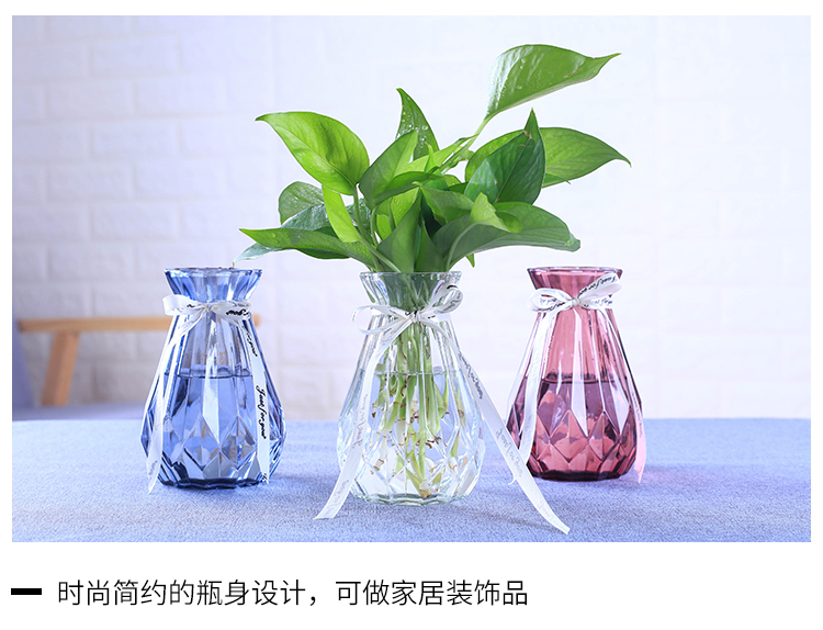 Cây thủy canh nhỏ tươi xanh hoa quả khô bình hoa lily hoa hồng thủy tinh bình phòng khách trang trí hoa - Vase / Bồn hoa & Kệ chậu treo trồng cây