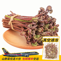 Xi taste monkey leg vegetable 250g vacuum frozen Northeast fresh mountain vegetable Wild dragon claw vegetable Guangdong fern purple fern