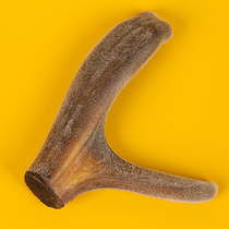 Creek flavor sika deer velvet dried pruning 180 grams of head stubble two bars northeast specialty nourishing sparkling wine