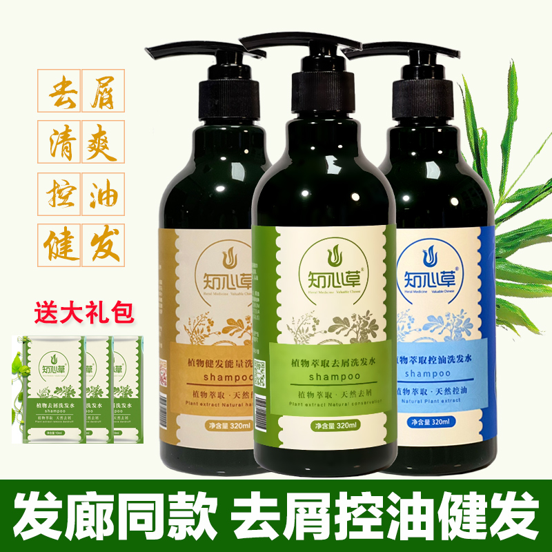 Zhixin grass plant extract anti-dandruff shampoo without silicone oil refreshing nourishing healthy hair energy shampoo oil control