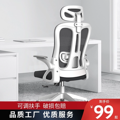 Компьютерное председатель Office Chect Stuctive Student Learning Studer Conference Room Horders Инженерная