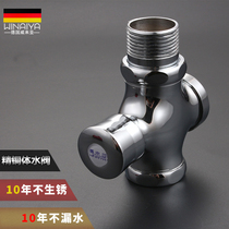 Germany Veolia all-copper hand-pressed squatting toilet flush valve Manual flushing valve Stool delay valve for public use