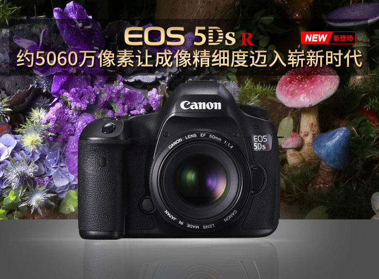 [Flagship store] Máy ảnh Canon EOS 5DS R SLR thân máy ảnh SLR kỹ thuật số bán chuyên nghiệp