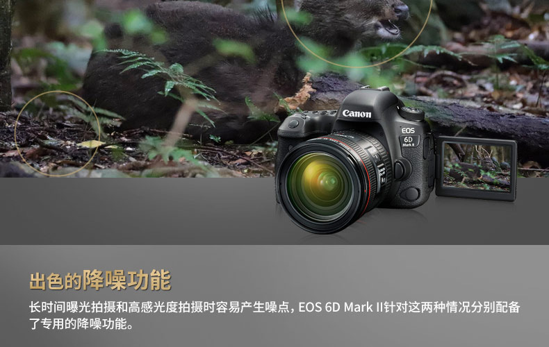 Canon EOS 6D Mark II kit 6D2 (24-105) chuyên nghiệp danh sách cao chống máy ảnh kỹ thuật số