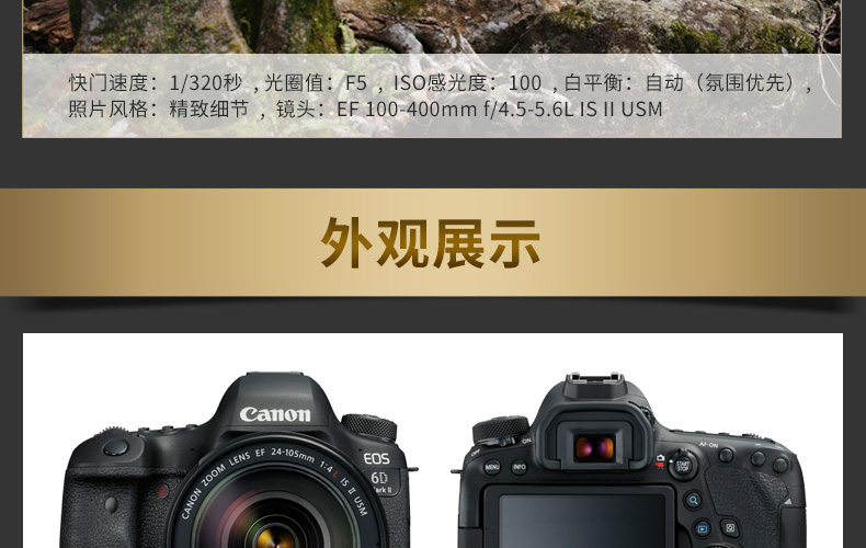 Canon EOS 6D Mark II kit 6D2 (24-105) chuyên nghiệp danh sách cao chống máy ảnh kỹ thuật số