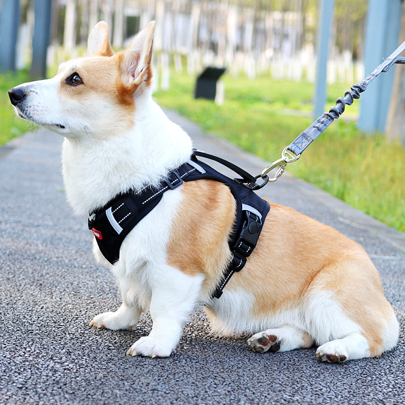 Pet breast harness Puppy dog Walk Dog Rope Traction Rope Kokie Teddy Medium Dog Vest Type Explosion Protection Punch Collar-Taobao