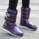 G66 Purple