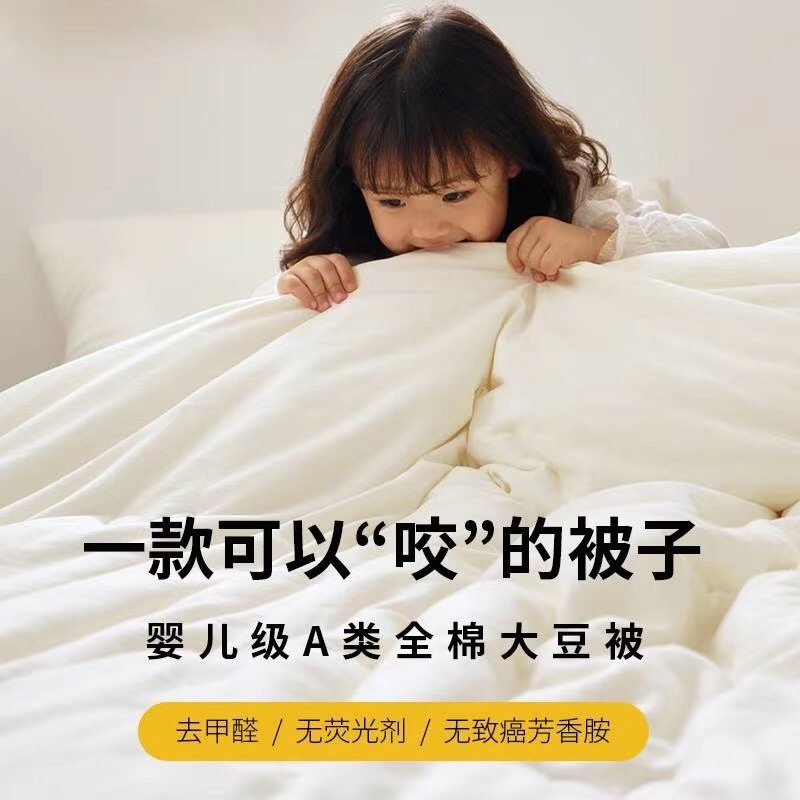 A class of all-cotton soy fiber quilt is thickened in winter and warm winter by two-in-one core air conditioning