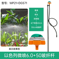 Israel Micro Spray Inner 6,0 Вставка 50 см WP21+DG571