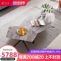 Coffee table Simple modern small apartment Nordic light luxury oval long creative imported rock board designer coffee table