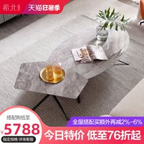 Coffee table Simple modern small apartment Nordic light luxury oval long creative imported rock board designer coffee table