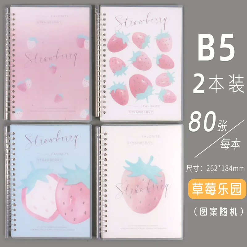 Removable Spiral Notebook, A5/B5 Refillable Tear-Off Sheets, 21×14.5 cm Compact