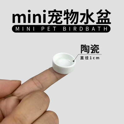 Ceramic mini water basin for jumping spiders, mantises, beetles, scorpions, crickets, grasshoppers, centipedes, crabs, spiders