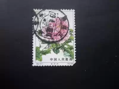 Special 61 peony -- Letter pin back good(big poke good poke)short teeth--Physical shooting--24472