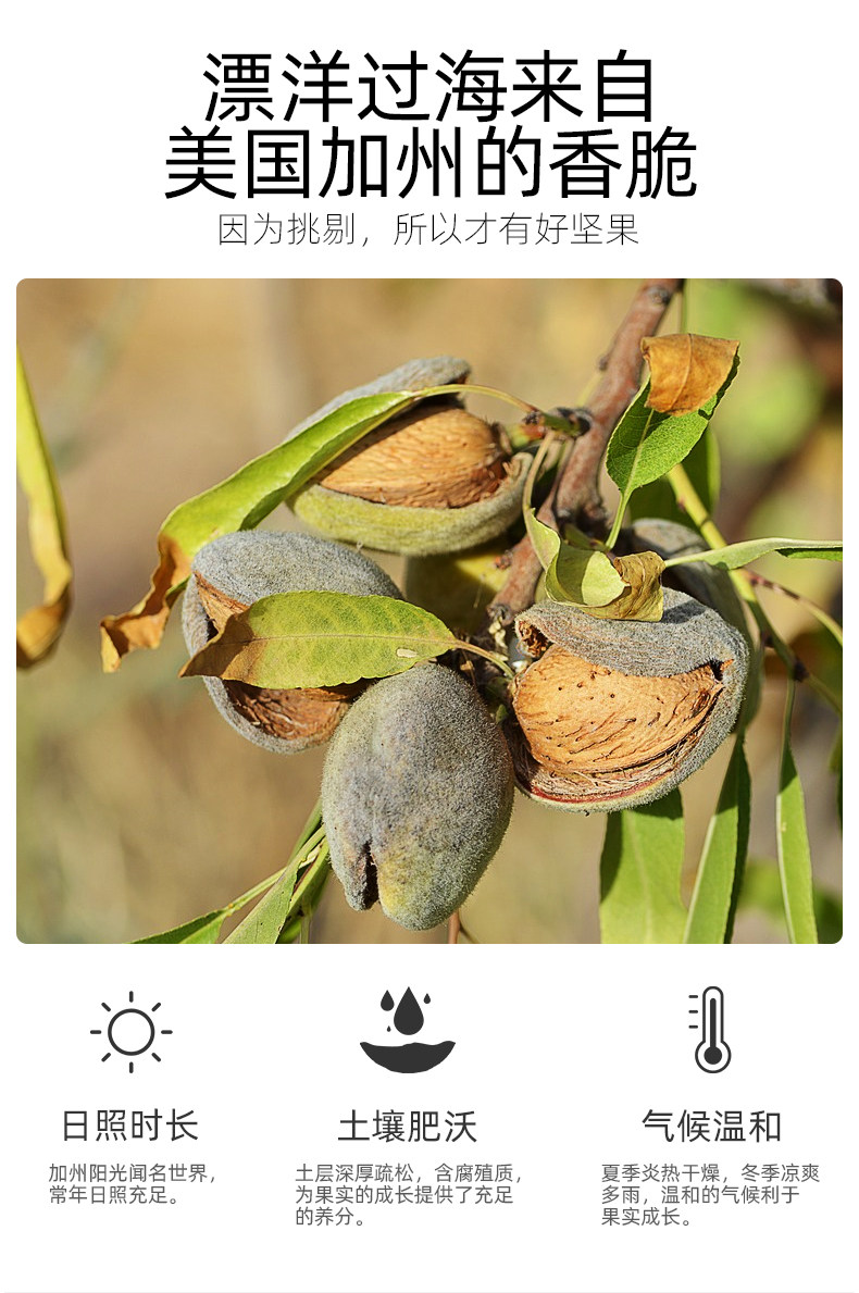 天虹牌 盐焗巴旦木仁 扁桃仁 160g*2袋 图2