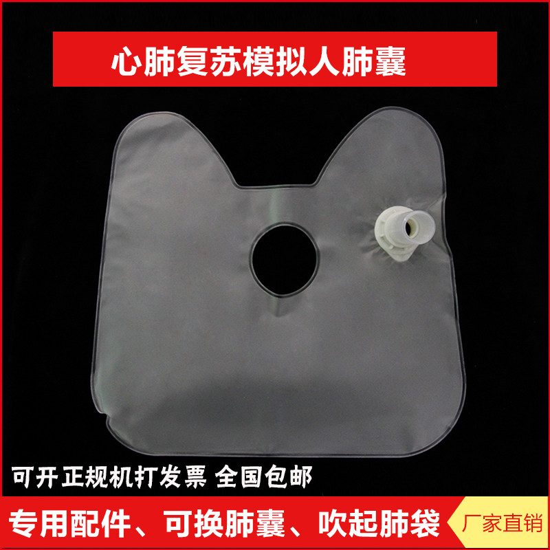 心肺复苏模拟人配件专用人体模型吹气肺囊 充气肺袋 人工呼吸肺袋