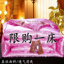 Clearance silk quilt 100% mulberry silk quilt spring and autumn quilt core thickening winter quilt single double air conditioning quilt
