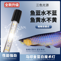 Ma Yinjin blue and white light golden dragon special lamp dual mode blue and white light to enhance the beauty of water grass lamp fish tank lamp waterproof LED lamp