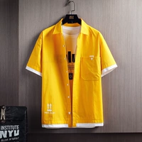 8856 Желтый 2xl