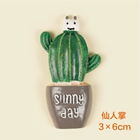 Панда главный кактус