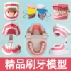 Товары от 理月模型店厂家直销