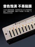 JDR GADRI Half -Stecule Piano 12 -Hole C -Metropolitan Professional Level GM0648 Вход для начинающих EVO0648S