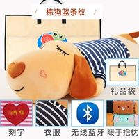 Серая голубая одежда собака