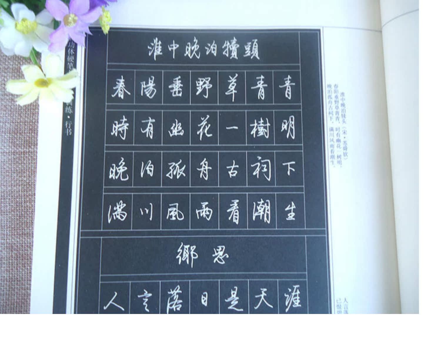 启功体硬笔书法技法训练行书 启功硬笔行书字帖 文阿禅编著 硬笔钢笔行书字帖行书硬笔书法字帖钢笔字帖启功行书临摹教程