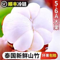 Thai mangosteen fresh large fruit 5 pounds of seasonal tropical fruits whole box for pregnant women seasonal imported oil bamboo 5a SF