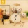 Детские игрушки-барабаны Qiao Wa, ударные инструменты, дети играют в гонги и барабаны, малыши играют на малых барабанах, мальчики и девочки 1-3 лет mini 0