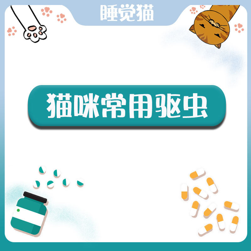 One of the cats that loves to sleep, 1 YX.