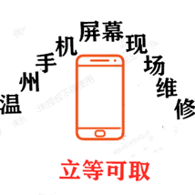 温州原拆手机配件的LOGO