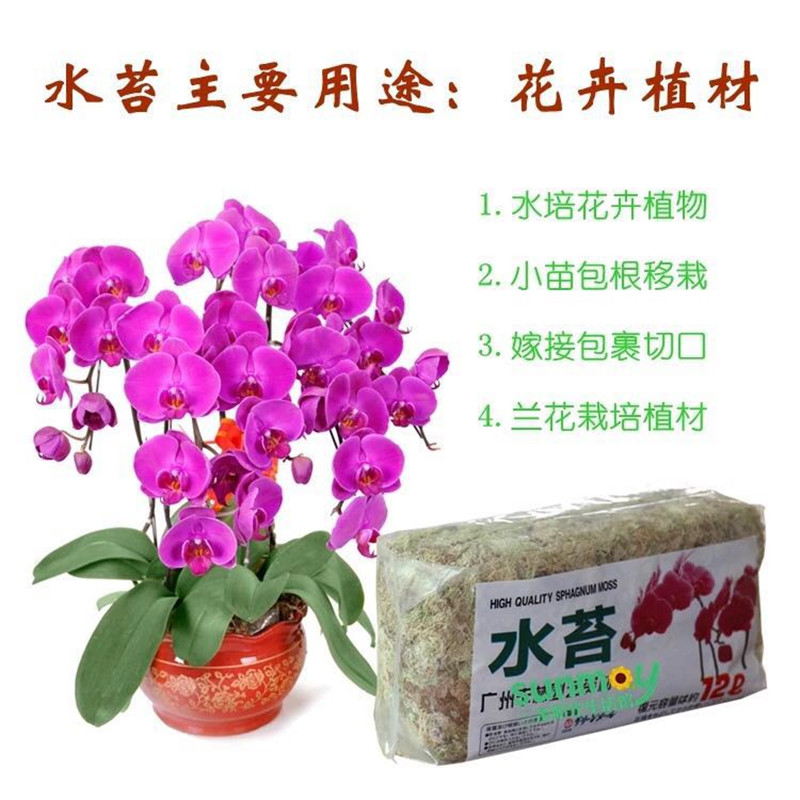 Moisturizing medium water Tweed without soil cultivation Stagnant Water Pineapple Cultivation Bag wet with orchid carnivora plant matrix dry water moss