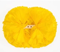 Cheerleading flower ball cheerleading flower ball cheerleader holding flower cheerleading ball hand shaking flower activity dance performance