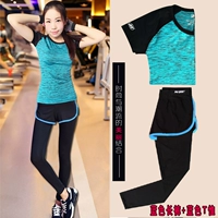 Озеро синий (T -Fore+Fake 2 брюки)