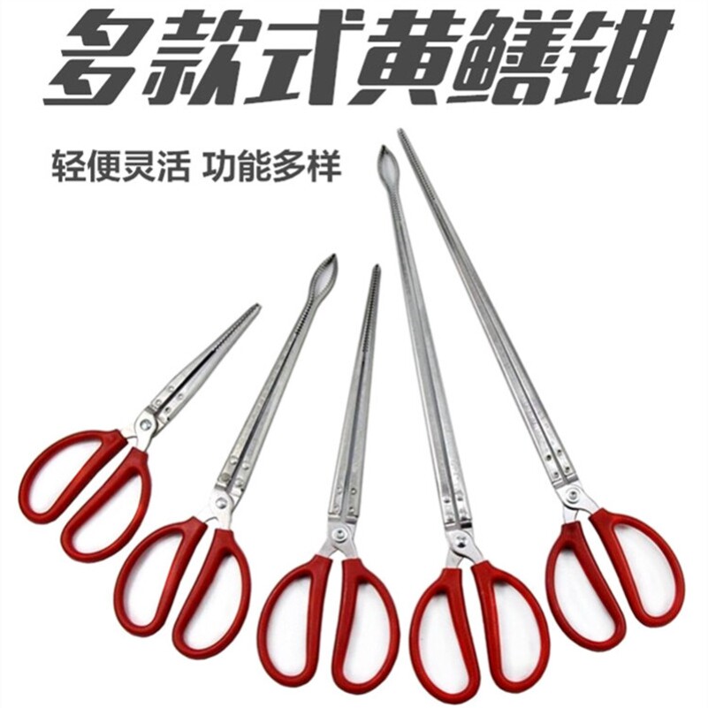 Tool Clip Lobster Grip Mud Loach Bamboo Bamboo Clips Yellow Eel Clip Teeth Clip Litter Clip Shrimp Durable Stainless Steel Steel