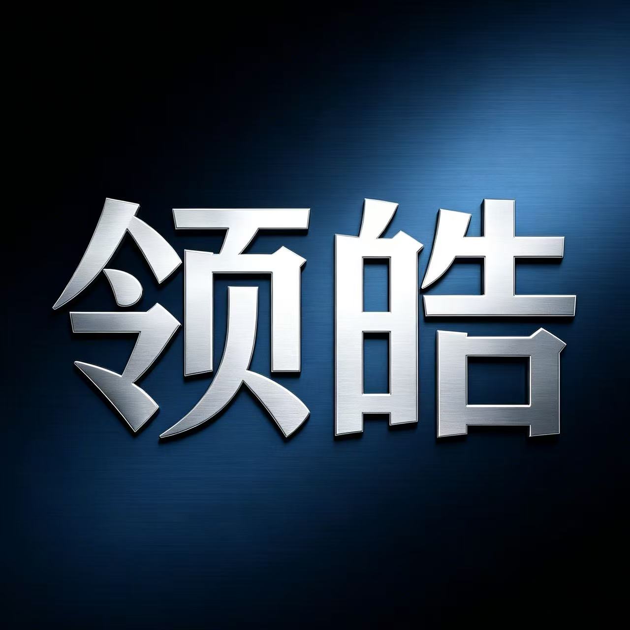 领皓企业店