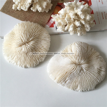 Korean ins abstract art ornaments niche jewelry shooting props studio cafe window decoration