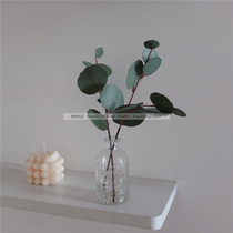 Wind simulation Eucalyptus round leaf Nordic simple flower fresh green plant home decoration flower arrangement