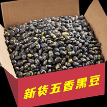 Ready-to-eat fried black bean snacks casual crispy food cooked pregnant women prepare for pregnancy five fragrant oil-free nutrition during pregnancy 500g
