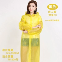 Взрослые желтые (луч)