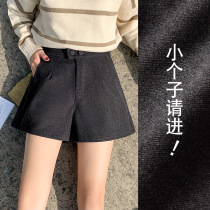 Autumn and winter thick wool shorts Womens a-word high-waisted leggings Casual loose and versatile thin wide-leg pants