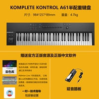 A61+педаль Yanyin+подлинный звук+программное обеспечение +1 Руководство