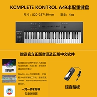 A49+педаль Yanyin+подлинный звук+программное обеспечение +1 Руководство