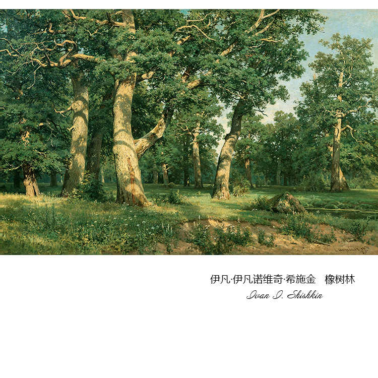 橡树画