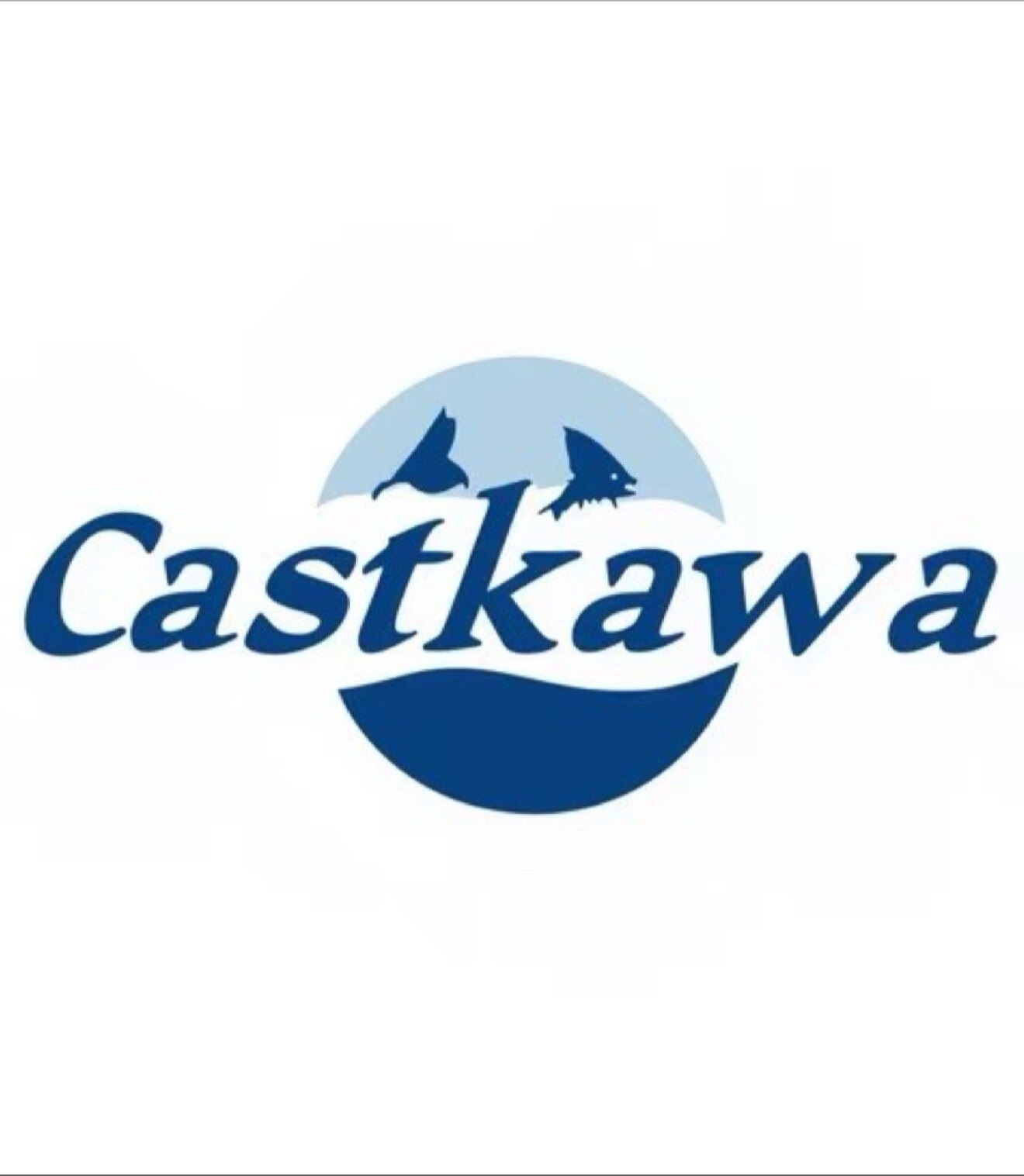 CASTKAWA经典水滴轮改装的LOGO