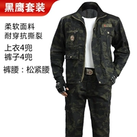 Комплект, черный орел, эластичная талия