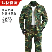 Зеленый лес