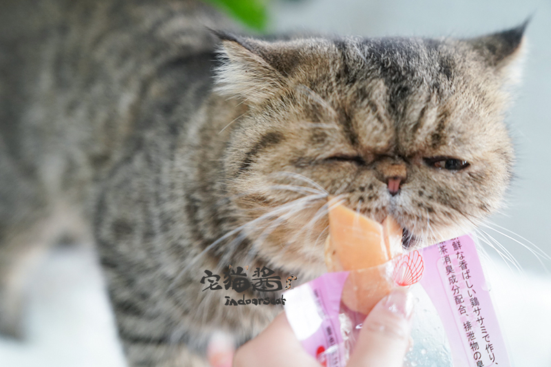 House Cat Sauce Doggy Man Multi-Pig Cat Chicken Food Food Đồ ăn nhẹ Dinh dưỡng Gà nướng Thịt ức 26g bánh thưởng cho mèo